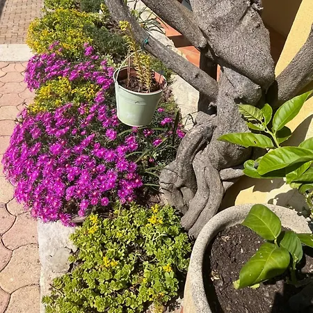 Le Rez-de-jardin De Sopat Holiday home Fuveau